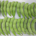 China IQF Frozen Soybeans Unpeeled with Pod